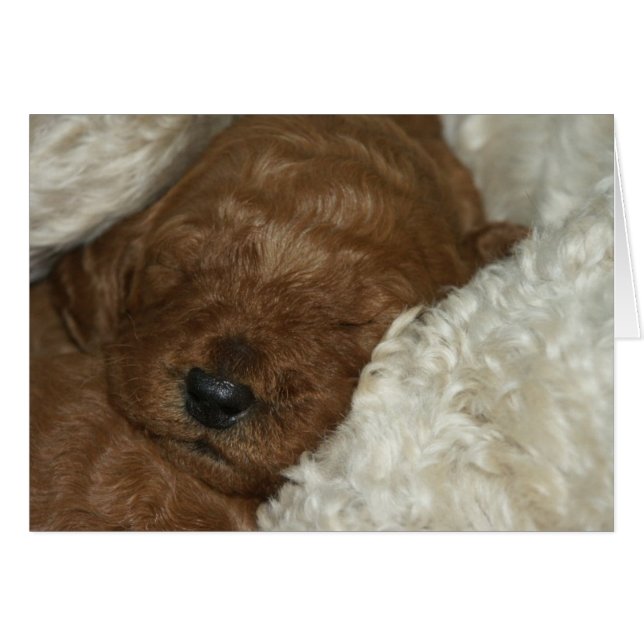 Series-04 nouveau-né (Devant horizontal)