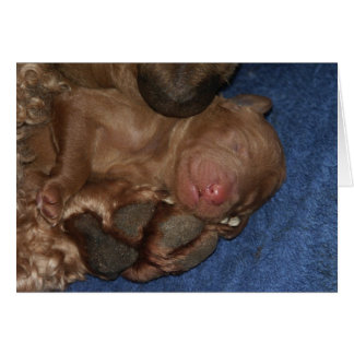 Series-05 nouveau-né