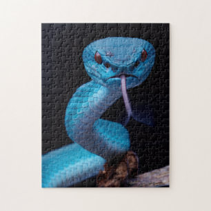 Serpent à vipère bleu 252 pièce Puzzle