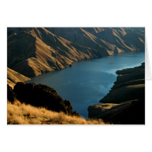 SERPENT AMORTI : Rivière de décembre