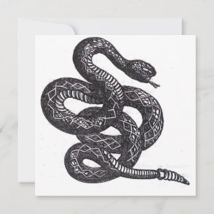 Serpent Crotalus Cascavella (Vipère à Piton Venime