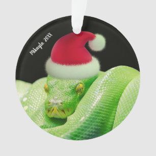Serpent d'arbre vert dans l'ornement de Santa Hat