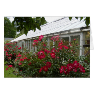 Serre chaude de roses rouges