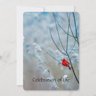 Service commémoratif Invitation Cardinal Red Bird
