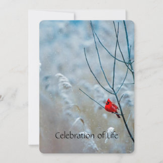 Service commémoratif Invitation Cardinal Red Bird