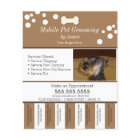 Services pour animaux Soins de toilettage Bandes d