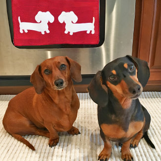 Serviette Dachshund Red Plat pour Amoureux de les 