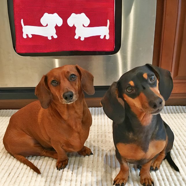 Serviette Dachshund Red Plat pour Amoureux de les  (Dachshund kitchen gifts and goods for wiener dog lovers)