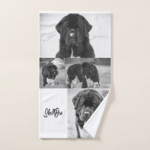 Serviette de bave de Terre-Neuve d'ours de Notta
