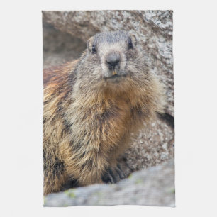 Serviette de cuisine Alpine Marmot