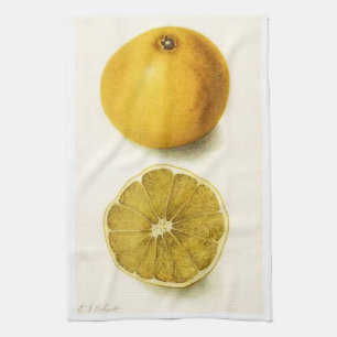 Serviette de cuisine aux pamplemousses