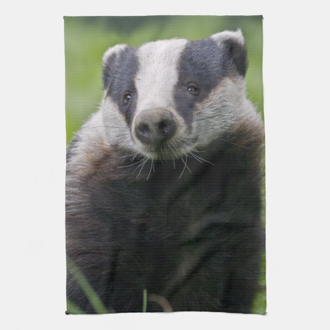 Serviette de cuisine Badger (Vertical)