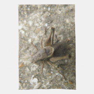 Serviette de cuisine Brown Field Cricket