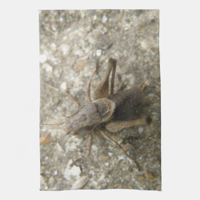 Serviette de cuisine Brown Field Cricket (Vertical)