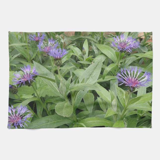 Serviette de cuisine Cornflowers (Horizontal)