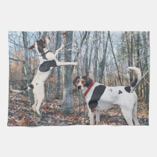 Serviette de cuisine de Coonhound de marcheur de