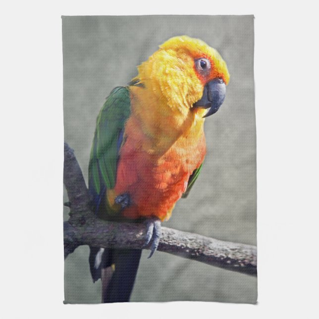 Serviette de cuisine de Jenday Conure (Vertical)