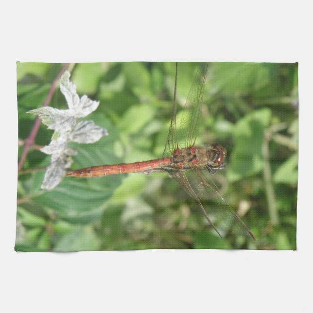 Serviette de cuisine de la libellule de fléchette  (Horizontal)