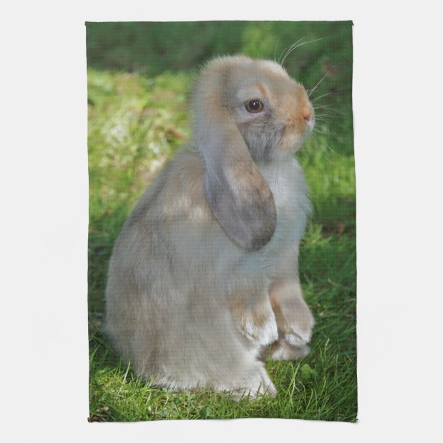 Serviette de cuisine de lapin de Minilop de bébé (Vertical)
