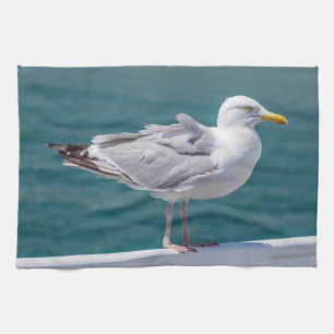 Serviette de cuisine de mouette