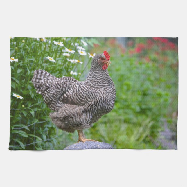 Serviette de cuisine de poulet (Horizontal)