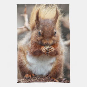 Serviette de cuisine d'écureuil