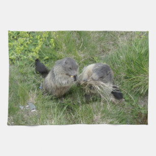 Serviette de cuisine Marmotte