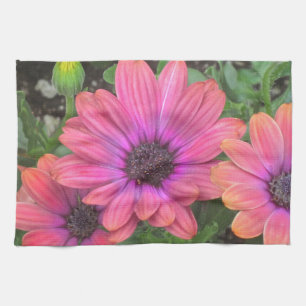 Serviette de cuisine multicolore