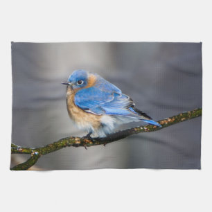 Serviette de cuisine orientale d'oiseau bleu