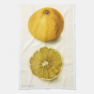 Serviette de cuisine pamplemousse