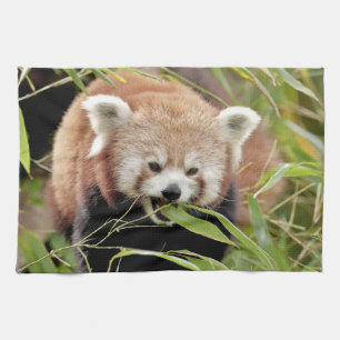 serviette de cuisine Photo panda rouge, animaux 03