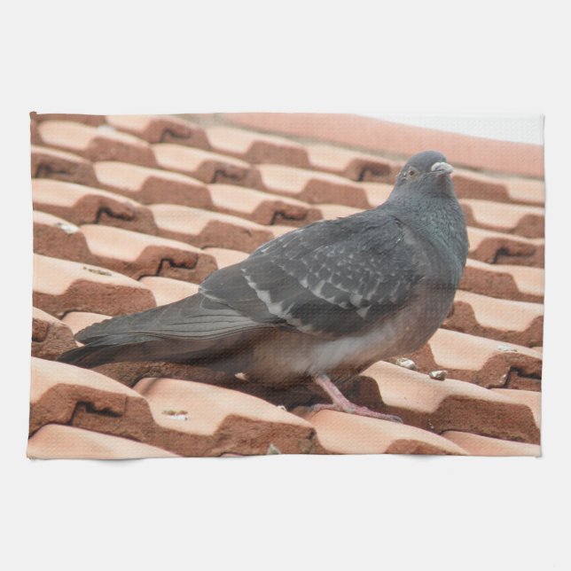 Serviette de cuisine Pigeon sur le toit (Horizontal)