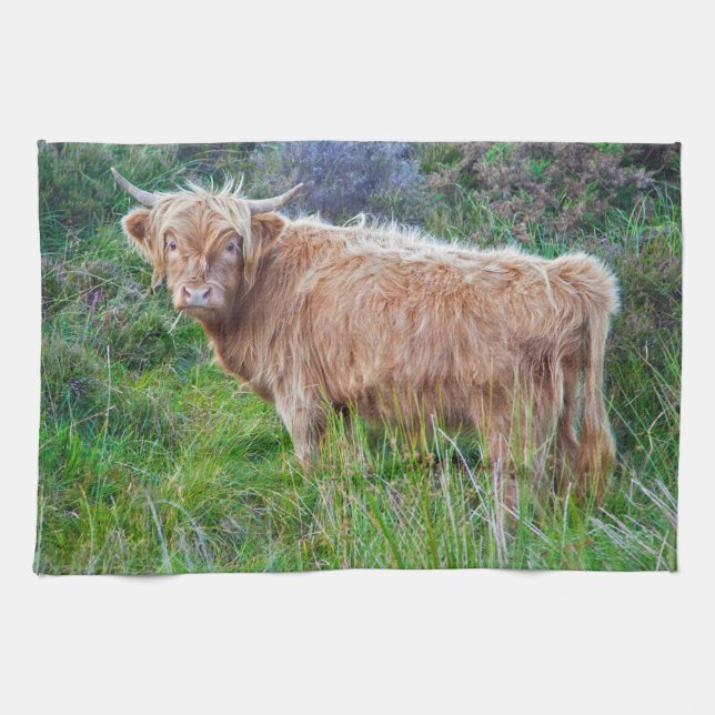 Serviette de cuisine pour la jeune vache Highland (Horizontal)