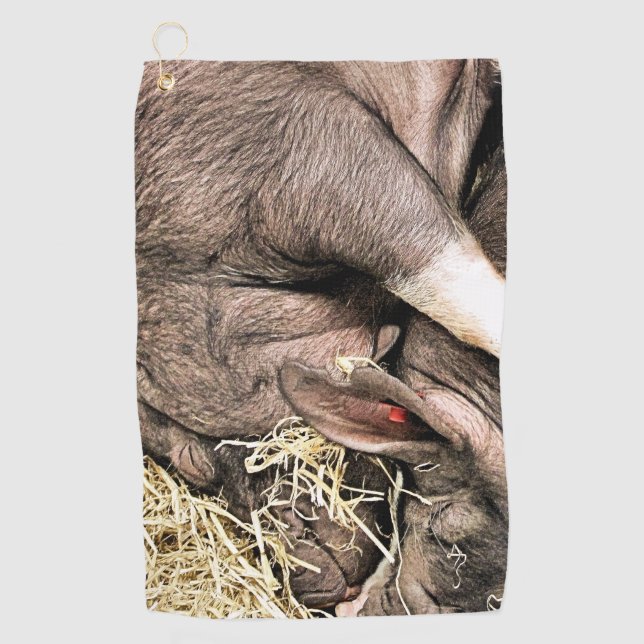 SERVIETTE DE GOLF COUPER LES COCHONS DE SOMMEIL (Devant)