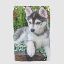 Créez Votre Propre Photo de Chien/Chat Personnalis
