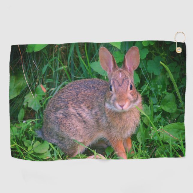 Serviette De Golf Cute Wild Brown Rabbit Faune (Horizontal)