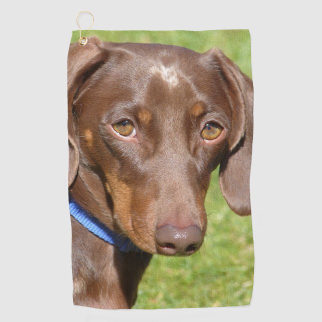 Serviette De Golf Dachshund (Devant)