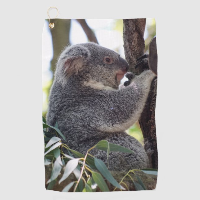 Serviette de golf d'ours de koala (Devant)