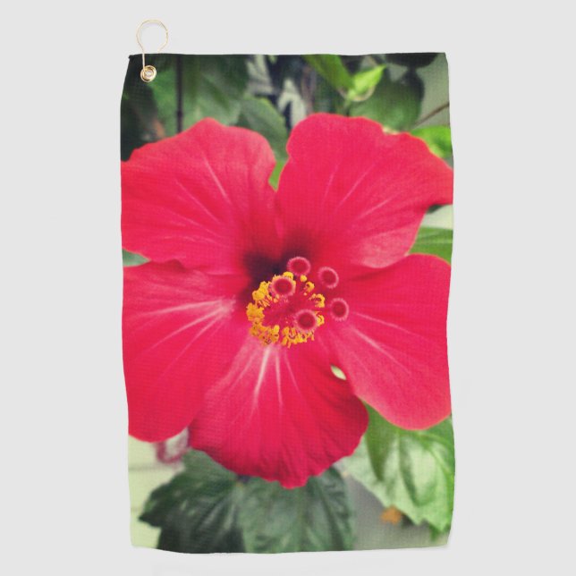 Serviette De Golf Fleur rouge de Hibiscus Rosa-sinensis (Devant)
