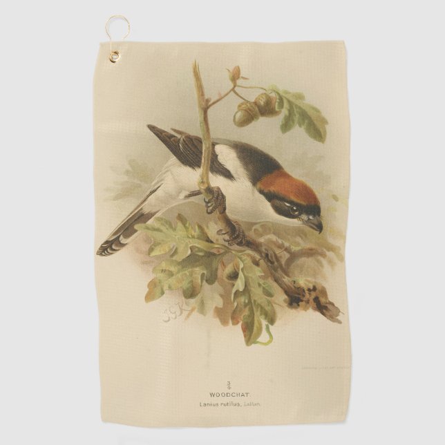 Serviette De Golf Illustration vintage de Woodchat Shrike (Devant)