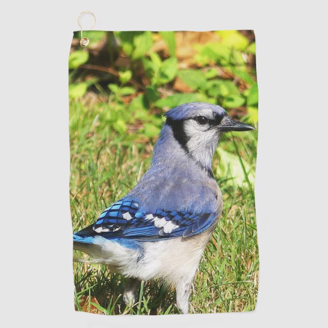 Serviette De Golf Jay bleu du nord (Devant)