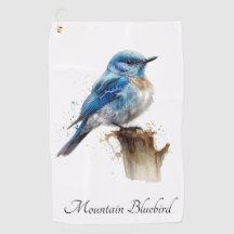 Jolie petite merlette des montagnes aquarelle, per