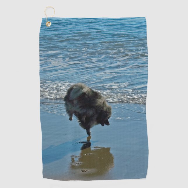 Serviette De Golf Keeshond Ballet Photographie - Joli chien d'origin (Devant)