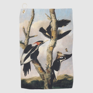 Serviette De Golf Peinture Audubon de Pic à bec ivoire