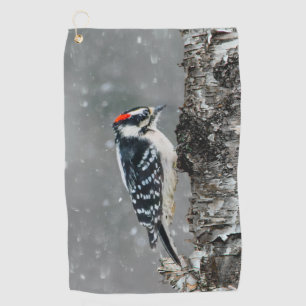 Serviette De Golf Pic épeiche tomenteux dans la neige - Photographie