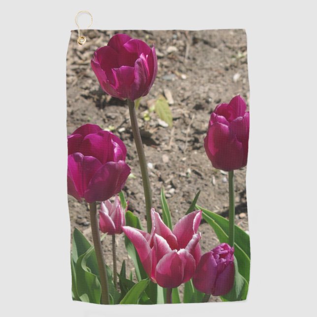 Serviette de golf pourpre Tulips (Devant)