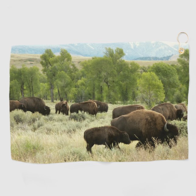 Serviette De Golf Wyoming Bison Nature Animal Photographie (Horizontal)