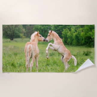 Serviette De Plage Amis mignons de poulains de chevaux de Haflinger