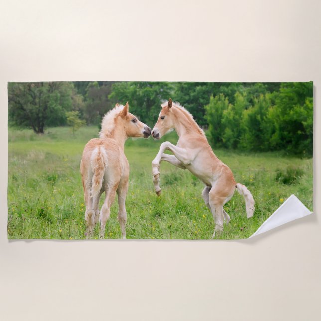 Serviette De Plage Amis mignons de poulains de chevaux de Haflinger (Devant)