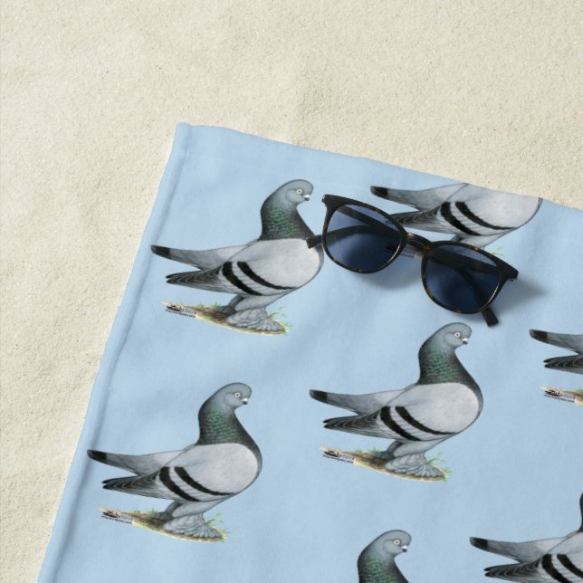 Serviette De Plage Barre Bleue Berliner Tumbler Pigeon (En situation)